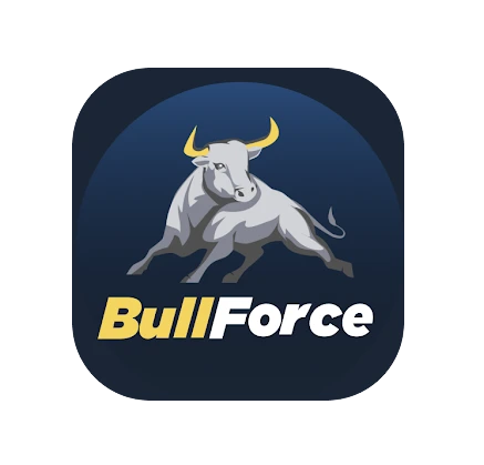 Bullforce logo